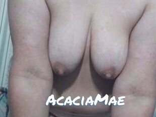 AcaciaMae