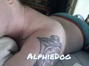 Alphie_Dog