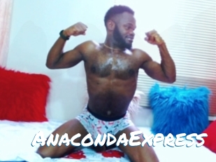 AnacondaExpress