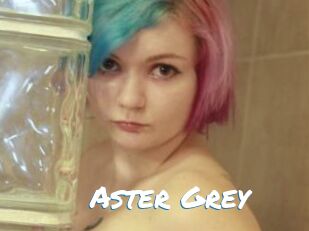 Aster_Grey