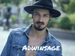 Adwinsage