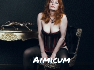 Aimicum