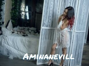 Aminanevill