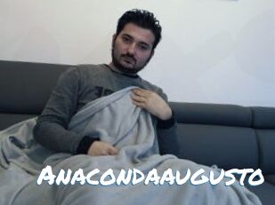 Anacondaaugusto