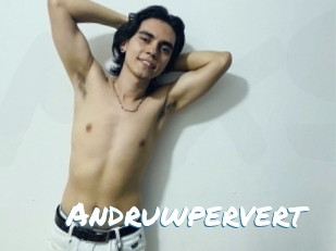 Andruwpervert