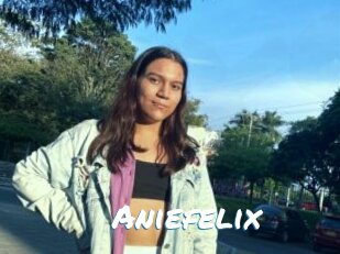 Aniefelix