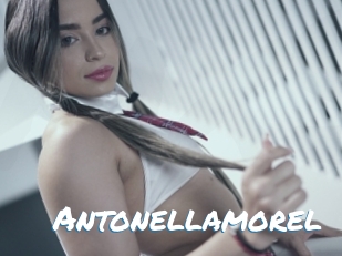 Antonellamorel