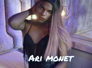 Ari_monet