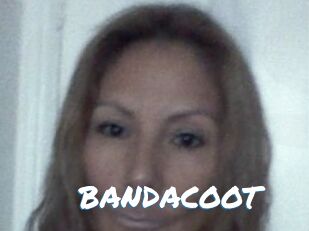 BANDACOOT