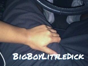 BigBoyLittleDick