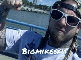 Bigmikesfit