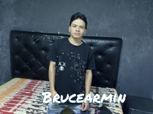 Brucearmin