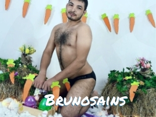 Brunosains