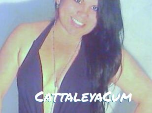 CattaleyaCum