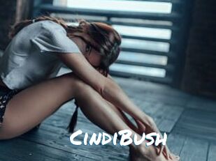 CindiBush