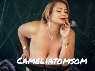 Cameliatomsom