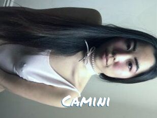 Camini