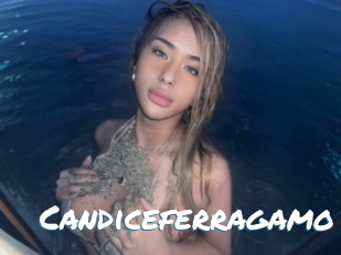 Candiceferragamo