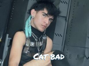 Cat_bad