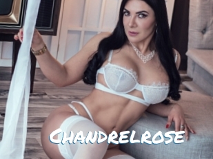 Chandrelrose