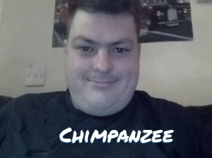 Chimpanzee