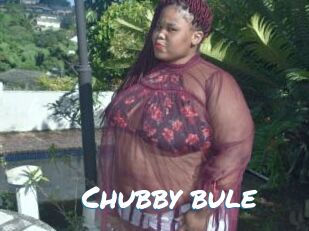 Chubby_bule