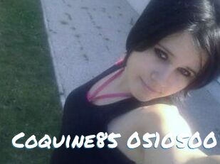 Coquine85-05105004