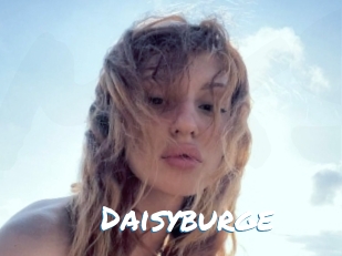 Daisyburge