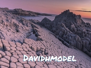 Davidhmodel