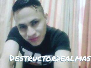 Destructordealmas