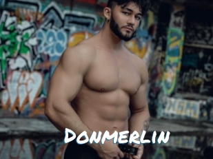 Donmerlin