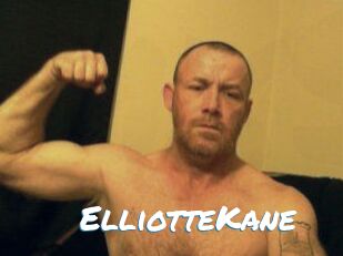 Elliotte_Kane