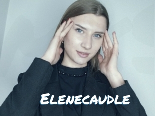 Elenecaudle