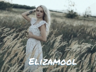 Elizamool