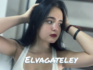 Elvagateley