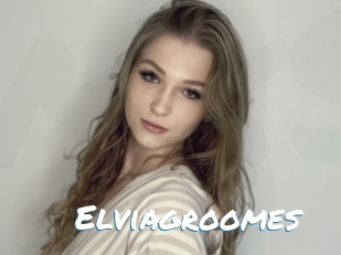 Elviagroomes