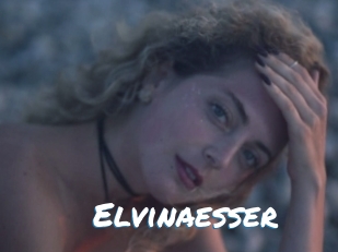 Elvinaesser