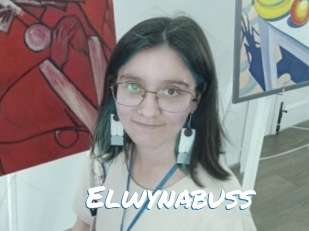 Elwynabuss