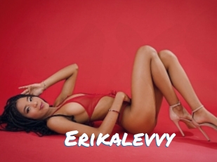 Erikalevvy