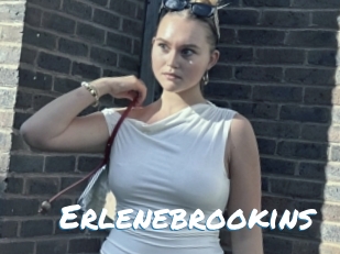 Erlenebrookins