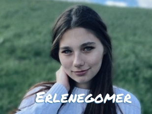 Erlenegomer