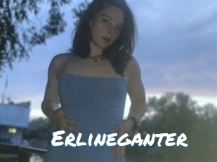 Erlineganter