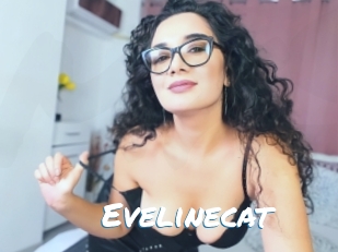 Evelinecat