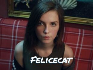 Felicecat