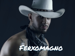 Ferxomagno