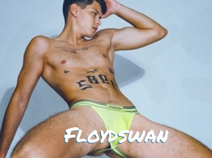 Floydswan