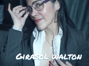 Girasol_walton