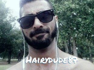 Hairydude87