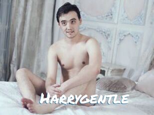 Harrygentle