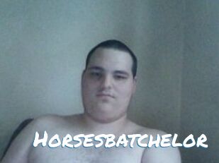 Horsesbatchelor